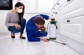 Best Fumigation Services  in Leakesville, MS